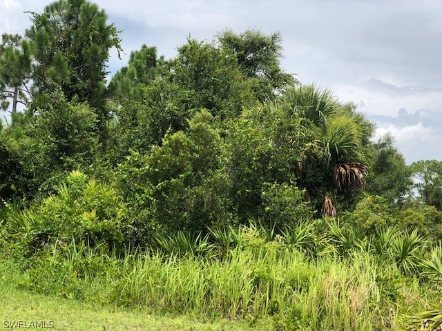 611 Highland Avenue Lehigh Acres, FL 33972 - Photo 1 of 1 a view of a lush green forest