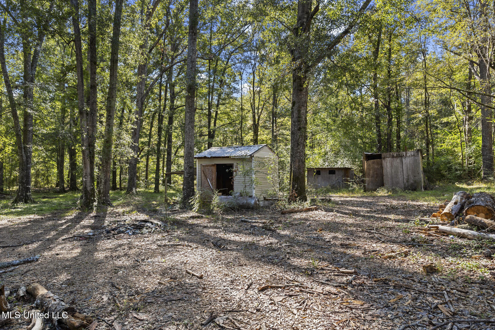 141 Fox Run Drive Raymond, MS 39154 - Photo 4 of 17 141 Fox Run Dr-4
