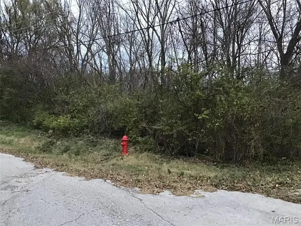 $15,000 | 456 Hwy M, Villa Ridge, MO 63089