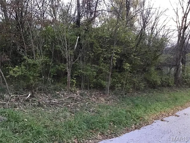 $15,000 | 456 Hwy M, Villa Ridge, MO 63089