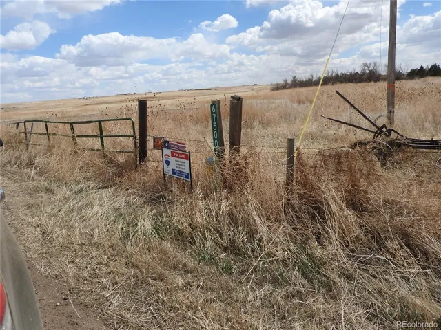 a backyard of a house with lots of tall trees