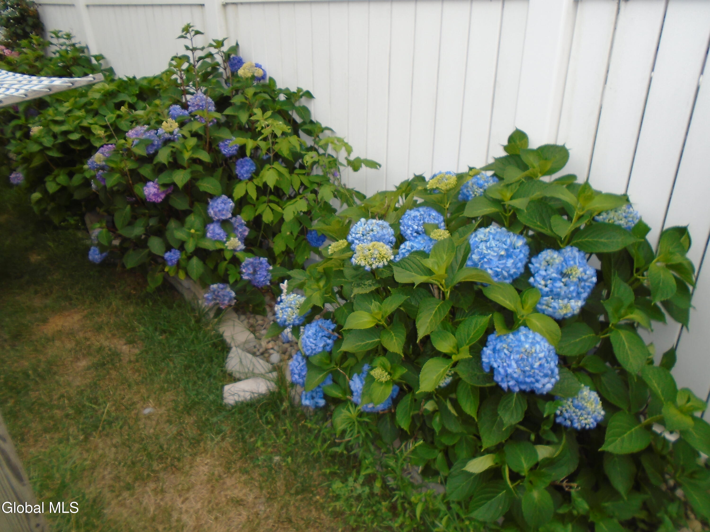 342 Eleanor Street Schenectady, NY 12306 - Photo 6 of 24 DSC03128