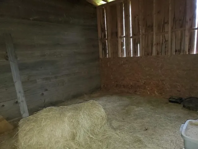 $950,000 | 259-265 Bowden Point Road, Prospect, ME 04981