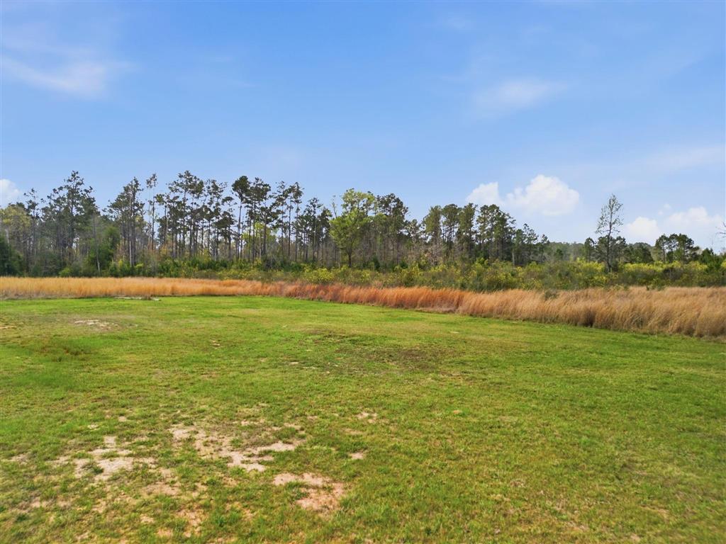 381 Gimnick Road Ragley, LA 70657 - Photo 20 of 21