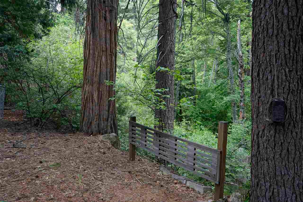 2204 Davis Place Road Mount Shasta, CA 96067 - Photo 8 of 24 Gallery Image 8