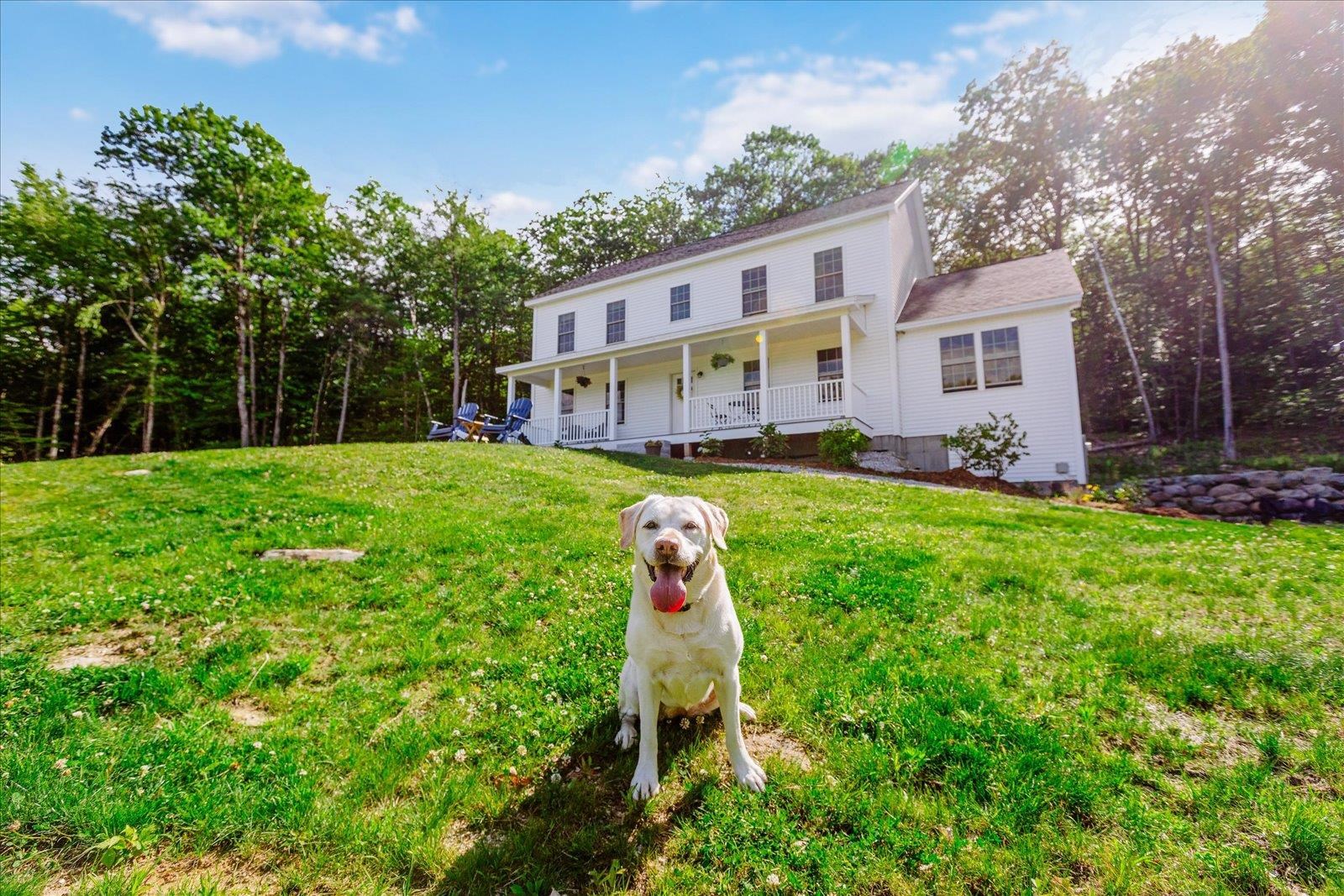 72 Chestnut Hill Road Dublin, NH 03444 - Photo 3 of 40