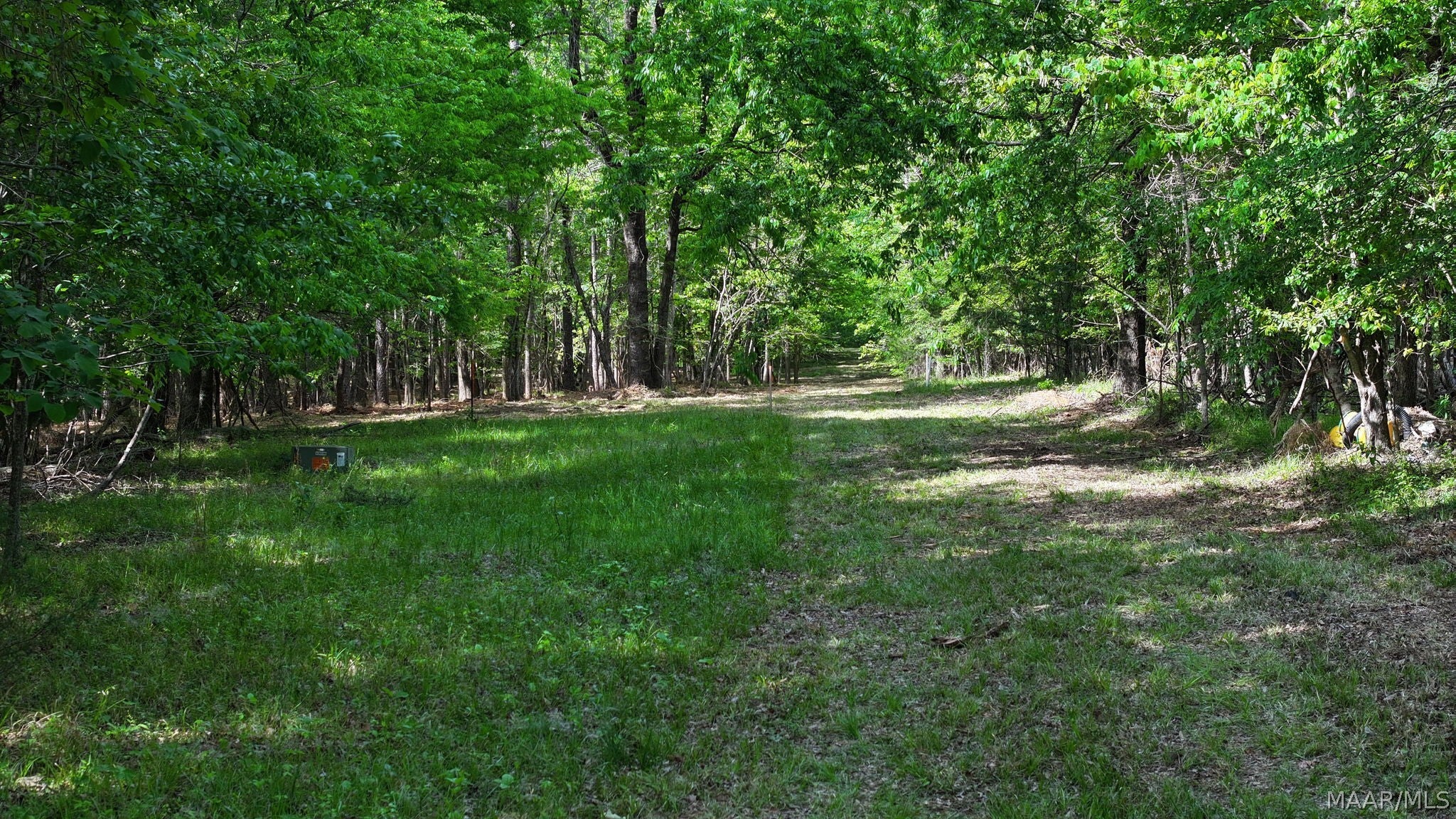 263 Edgewood Court Mathews, AL 36052 - Photo 3 of 7 Gallery Image 3