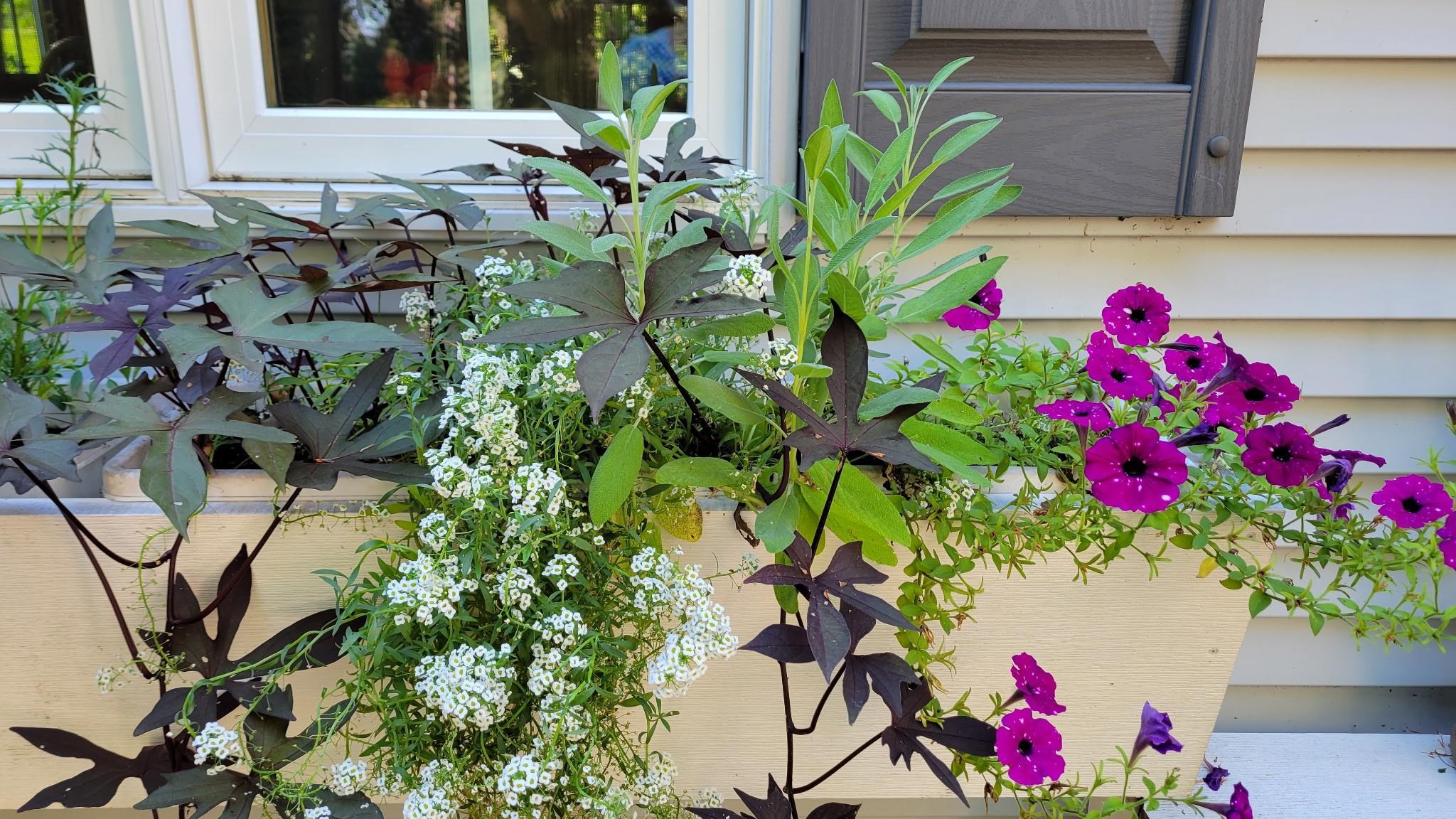 N7929 Doty Drive Ripon, WI 54971 - Photo 3 of 90