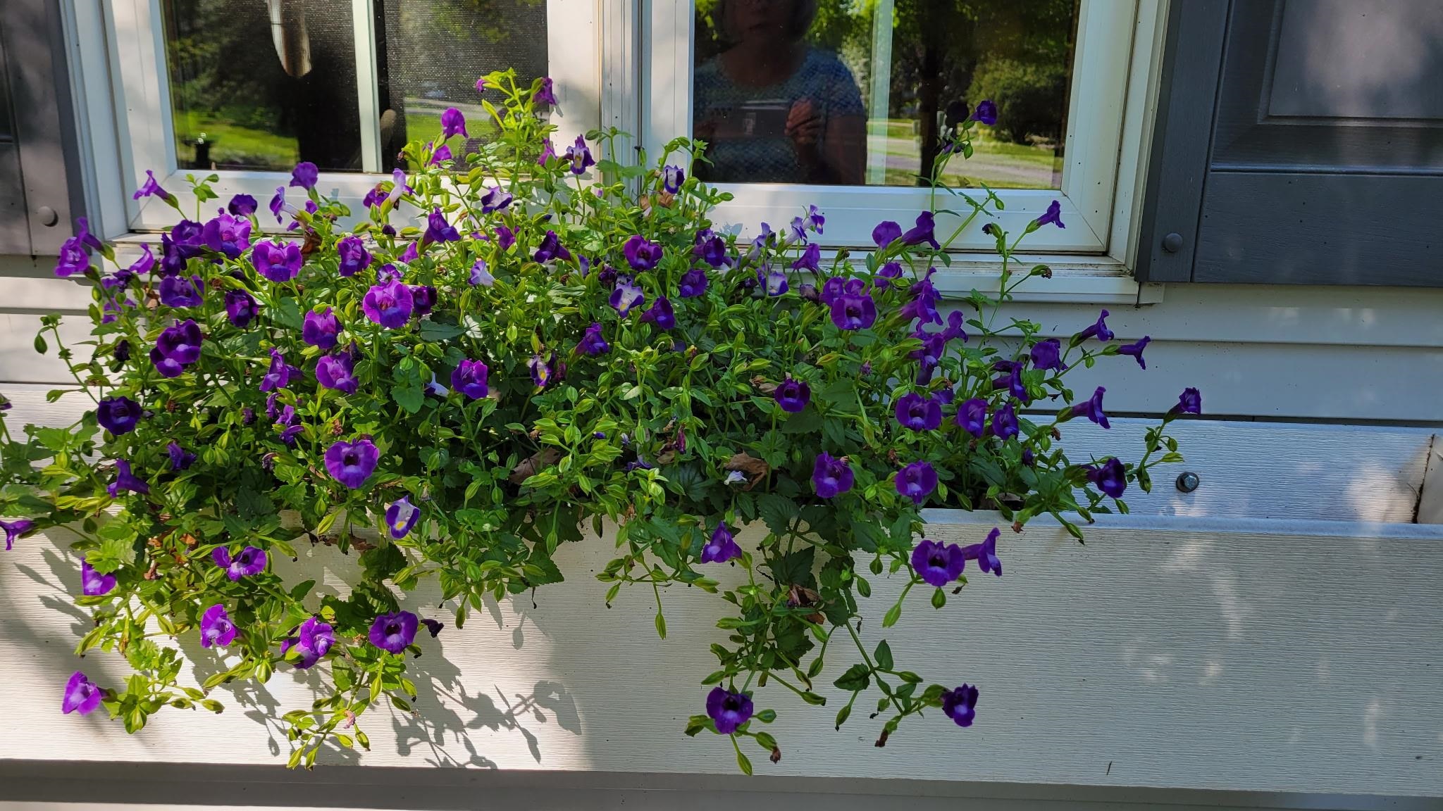 N7929 Doty Drive Ripon, WI 54971 - Photo 5 of 90