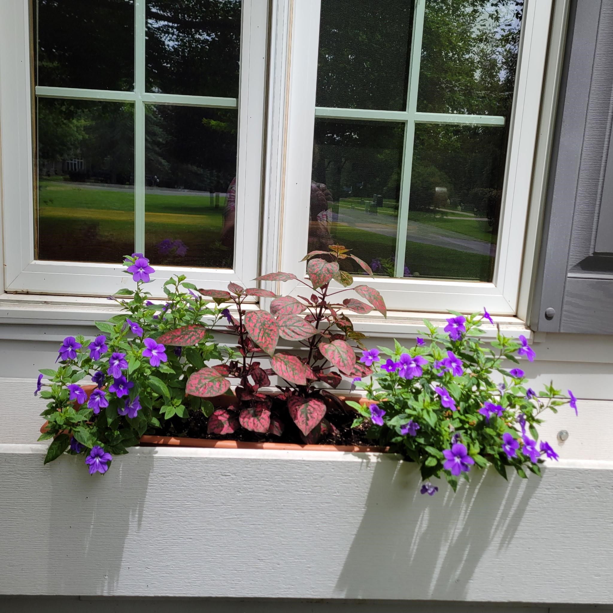 N7929 Doty Drive Ripon, WI 54971 - Photo 6 of 90