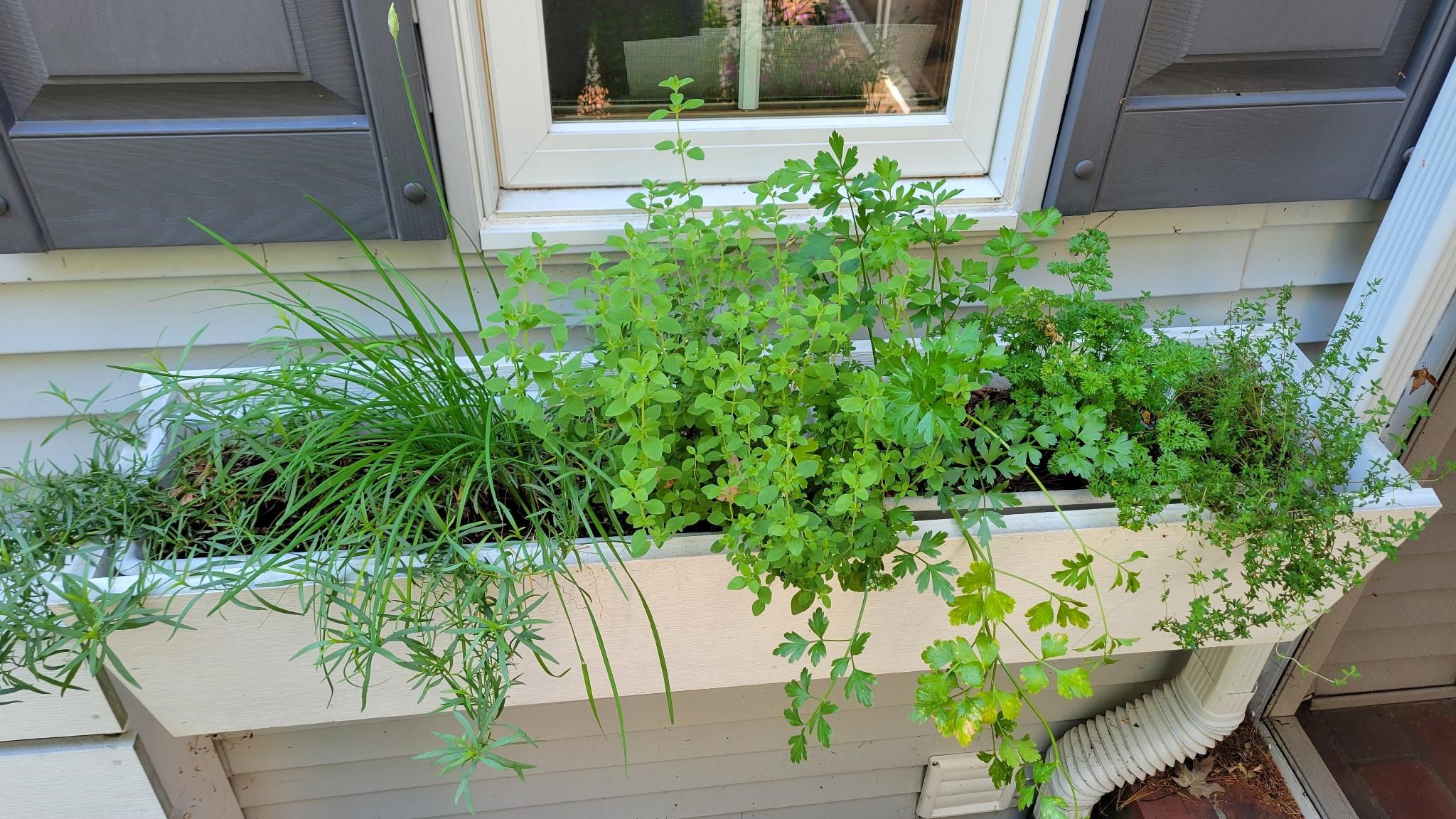 N7929 Doty Drive Ripon, WI 54971 - Photo 70 of 90