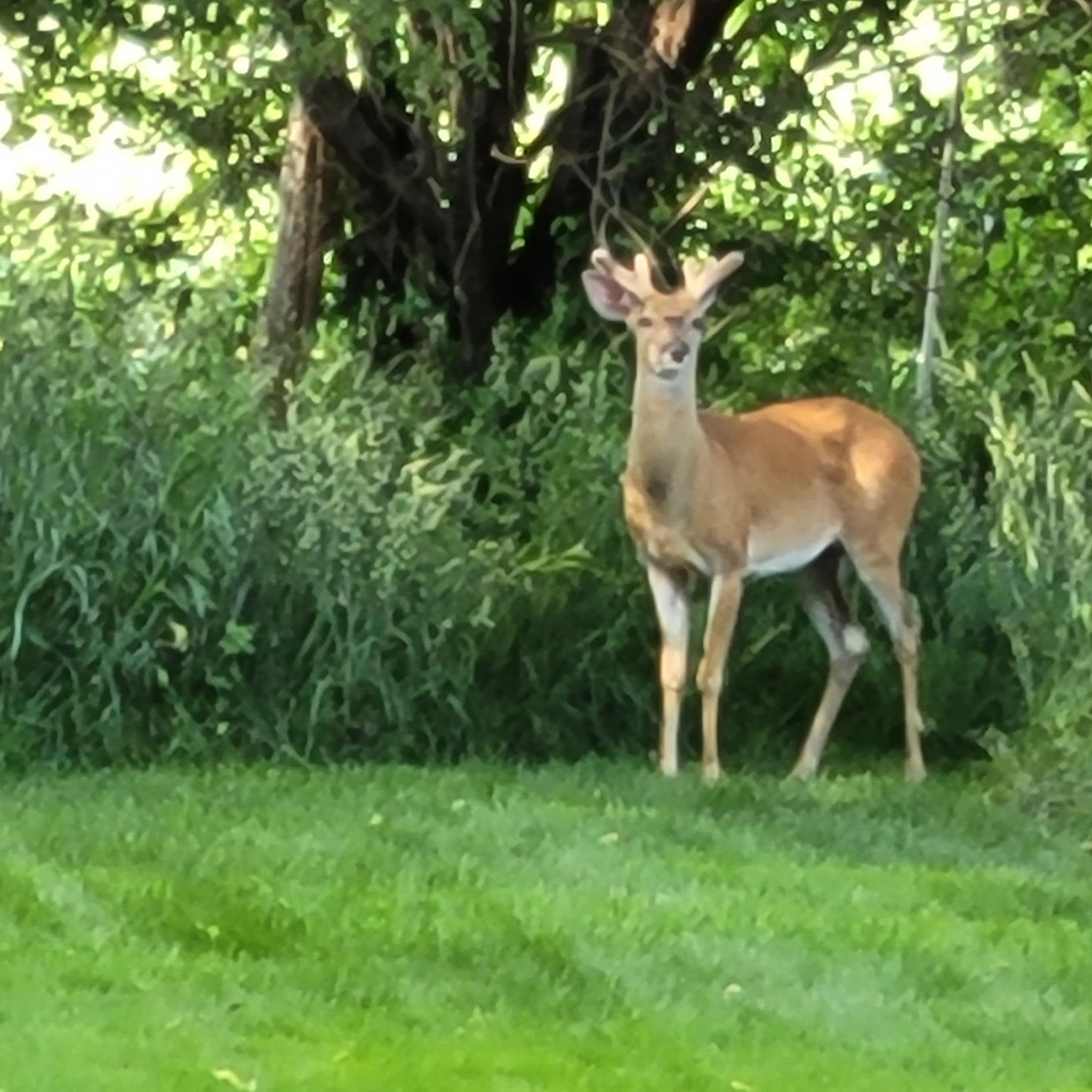N7929 Doty Drive Ripon, WI 54971 - Photo 71 of 90