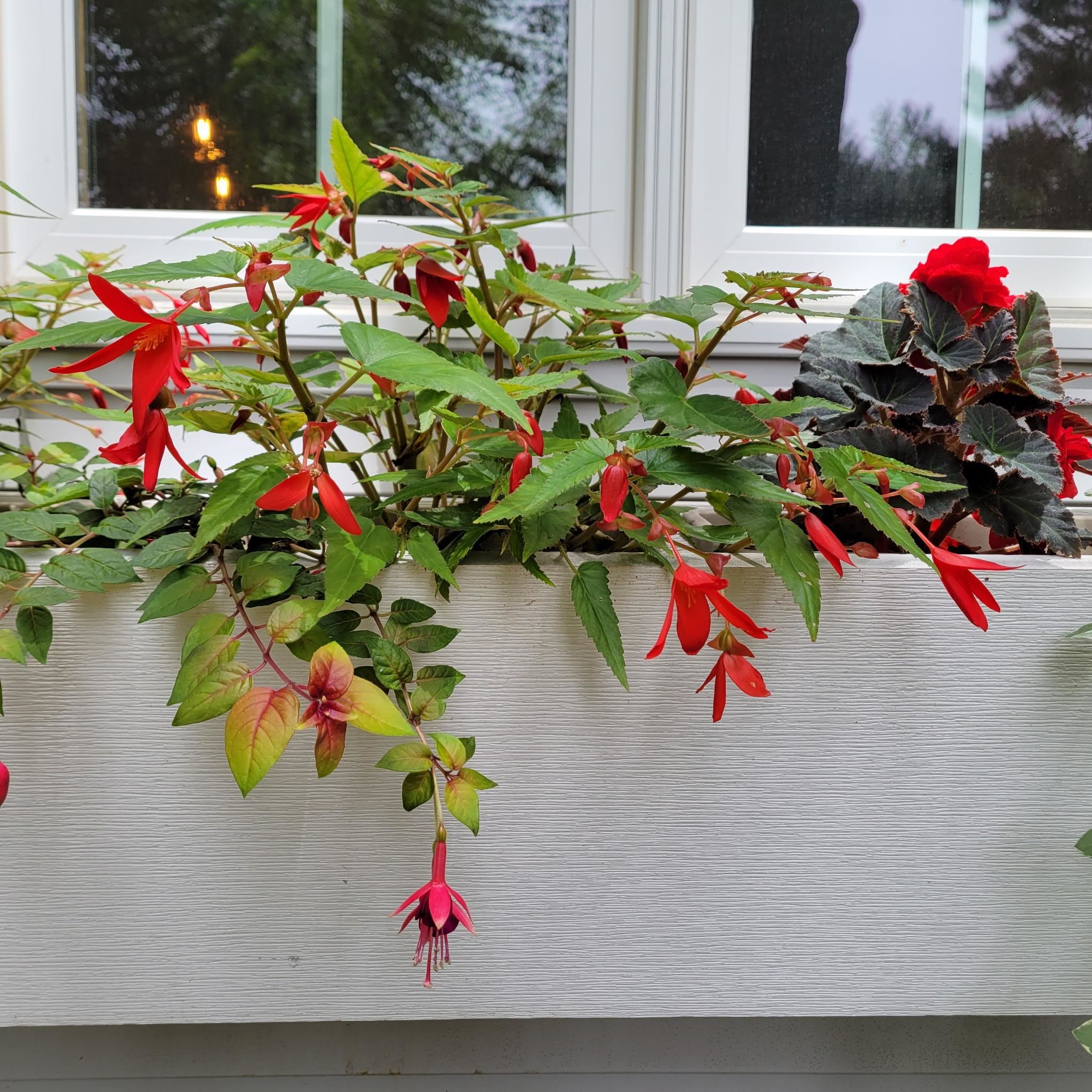 N7929 Doty Drive Ripon, WI 54971 - Photo 72 of 90