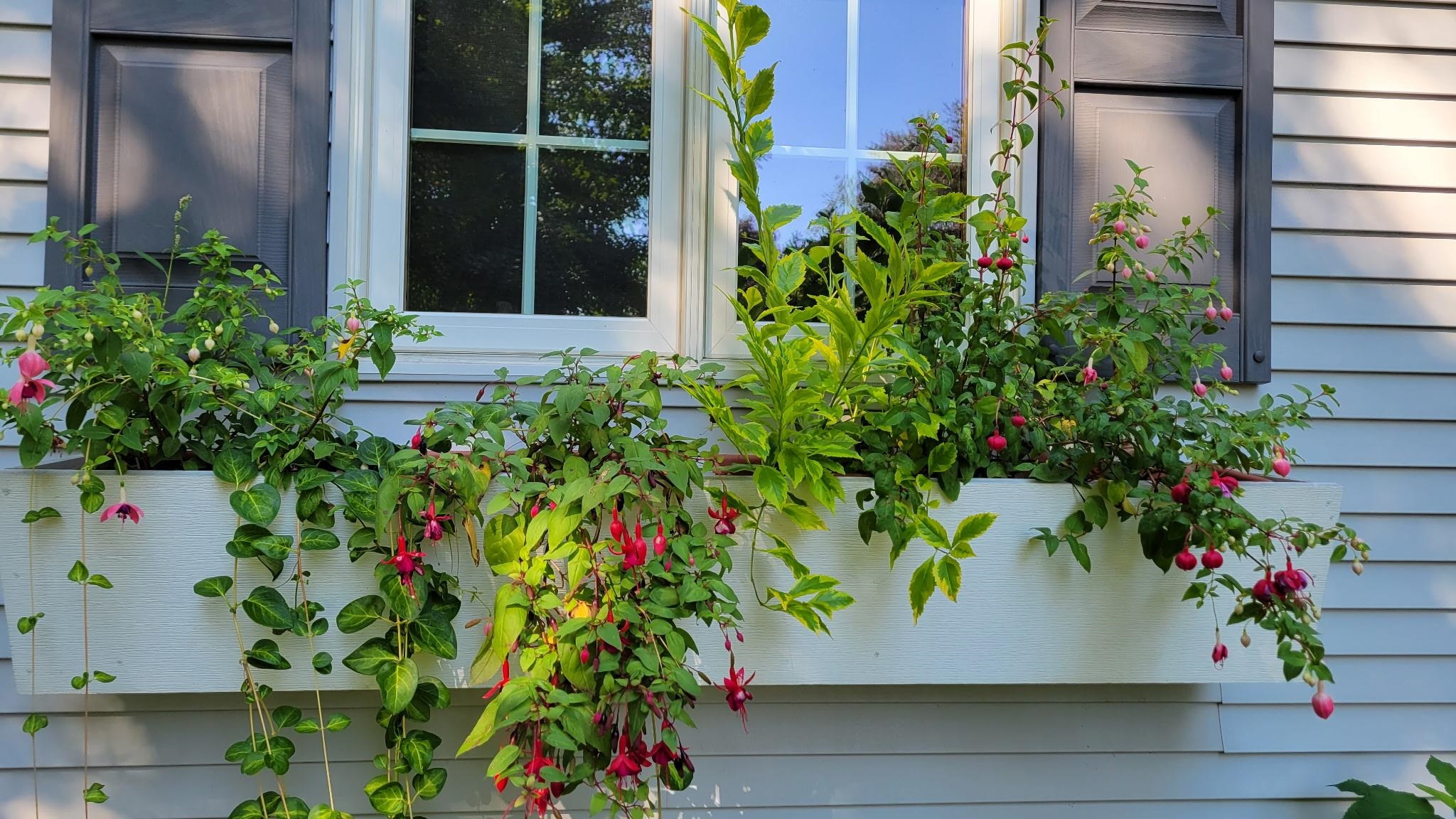 N7929 Doty Drive Ripon, WI 54971 - Photo 73 of 90