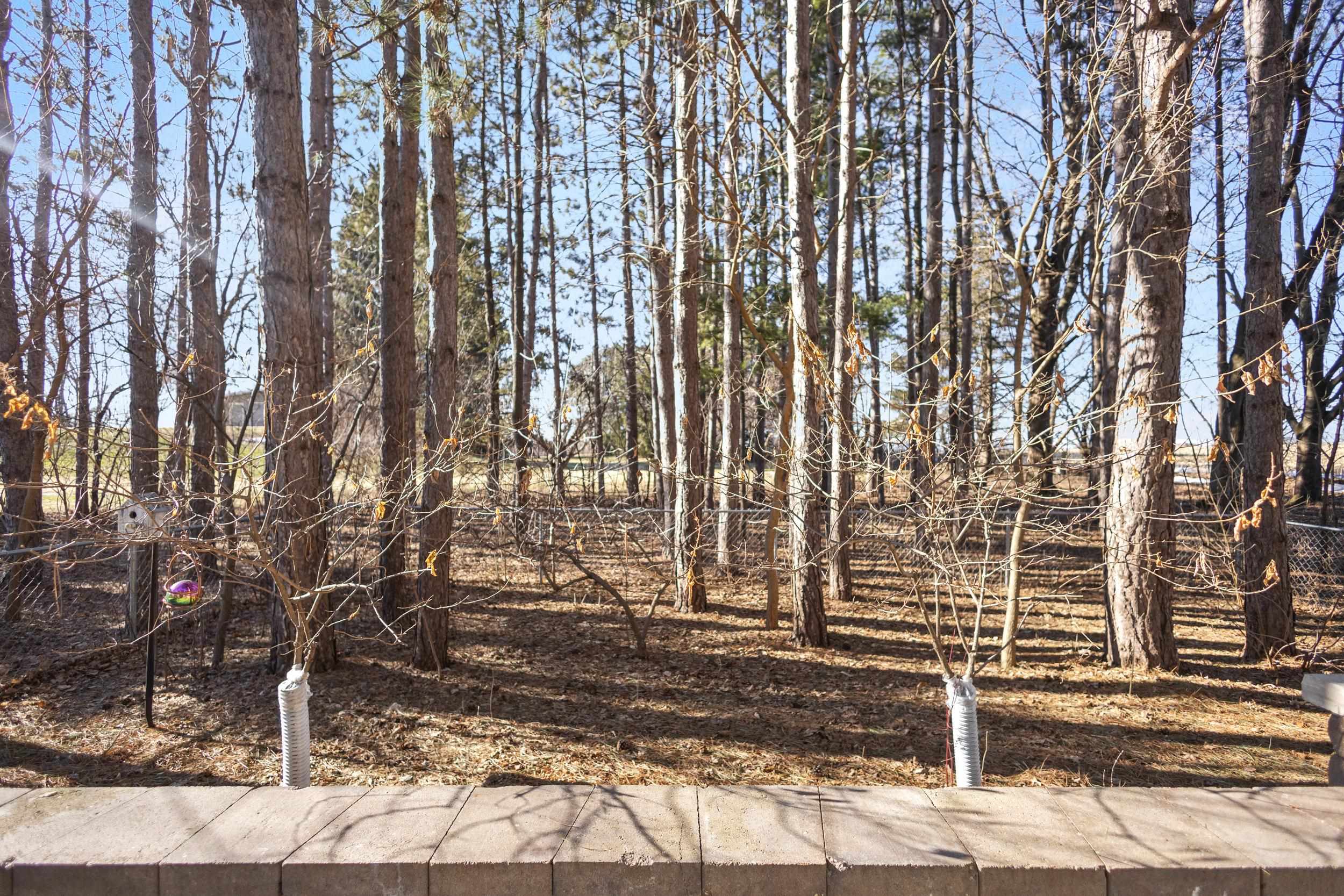 N7929 Doty Drive Ripon, WI 54971 - Photo 85 of 90