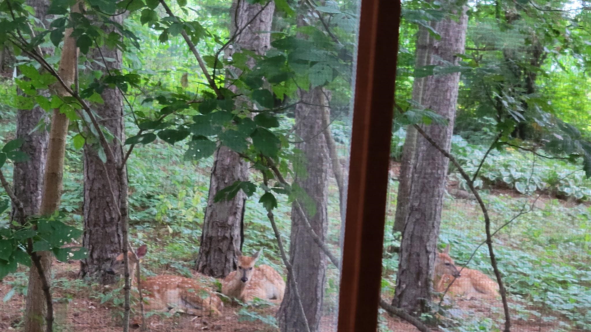 N7929 Doty Drive Ripon, WI 54971 - Photo 86 of 90