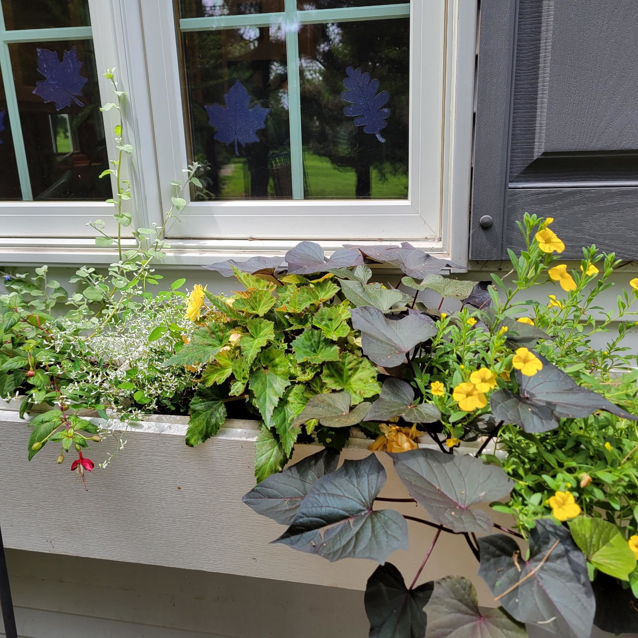 N7929 Doty Drive Ripon, WI 54971 - Photo 88 of 90