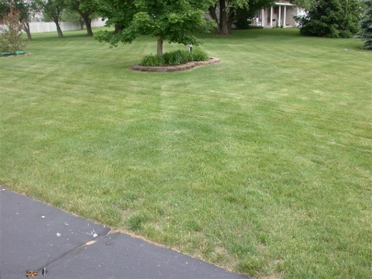 53947 Ridgeview Circle Paw Paw, MI 49079 - Photo 19 of 21 Additional Photo