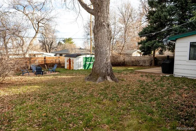 a view of a yard with trees