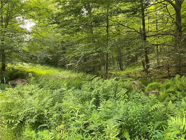 $79,900 | 0 State Route 28, Thendara, NY 13472