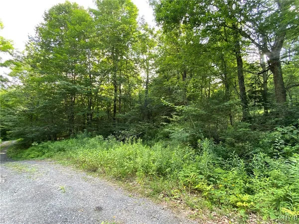 $67,500 | 0 State Route 28, Thendara, NY 13472