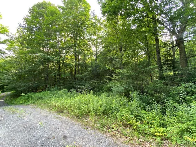 $79,900 | 0 State Route 28, Thendara, NY 13472