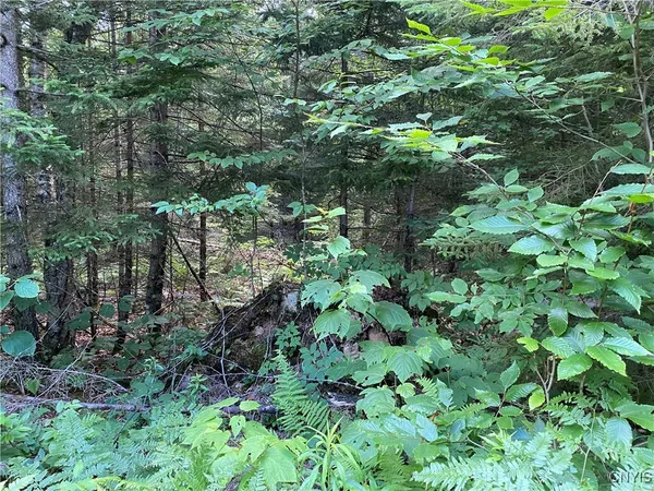 $67,500 | 0 State Route 28, Thendara, NY 13472