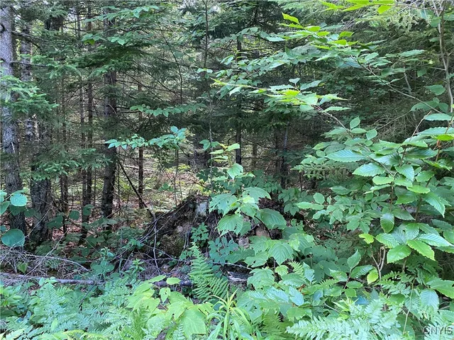 $79,900 | 0 State Route 28, Thendara, NY 13472