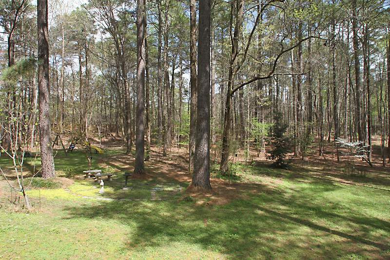 10604 Chinkapin Place Raleigh, NC 27613 - Photo 12 of 14 Photo 12