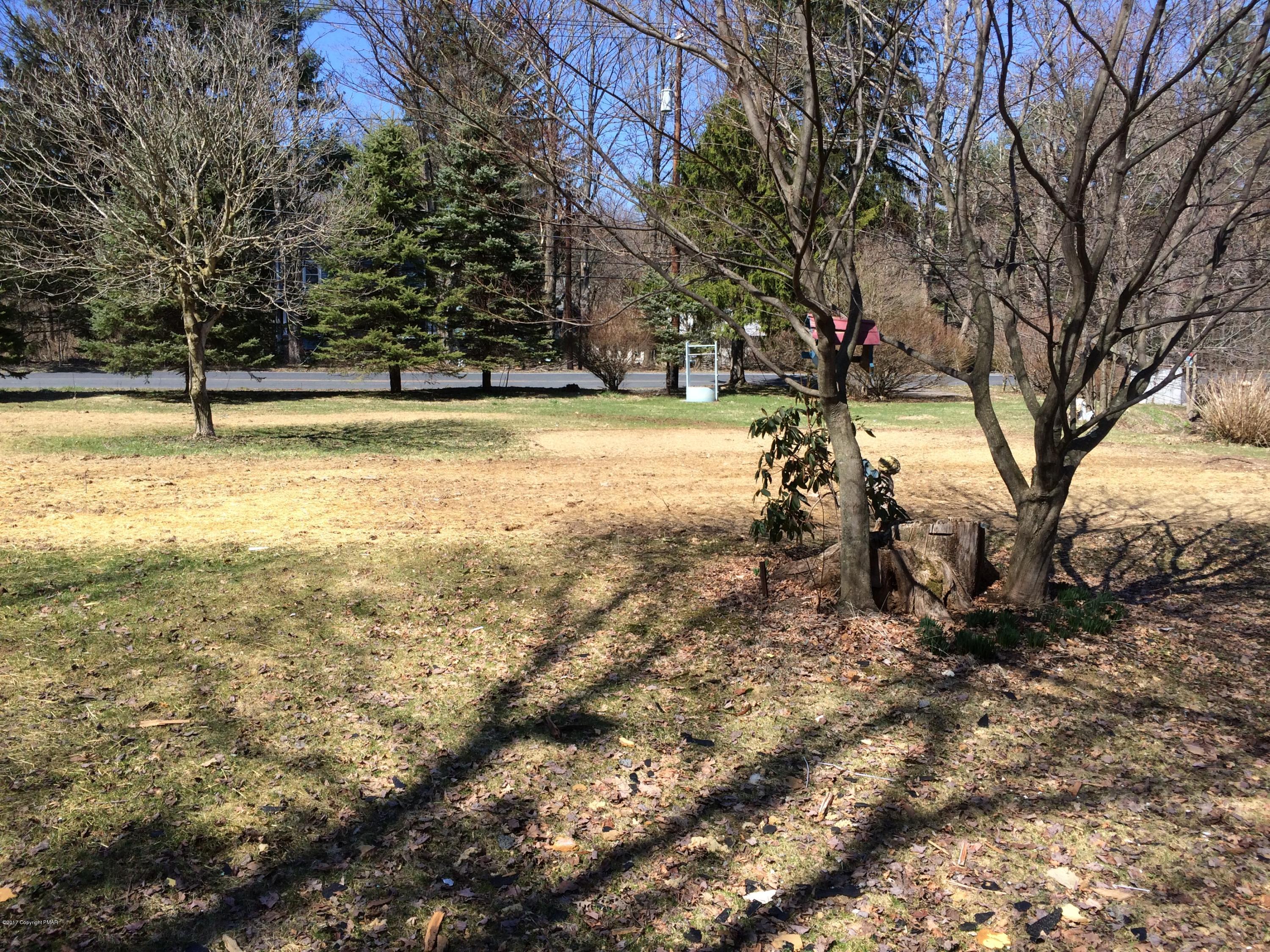 2546 Mountain Road Stroudsburg, PA 18360 - Photo 3 of 6 a view of a yard with a tree