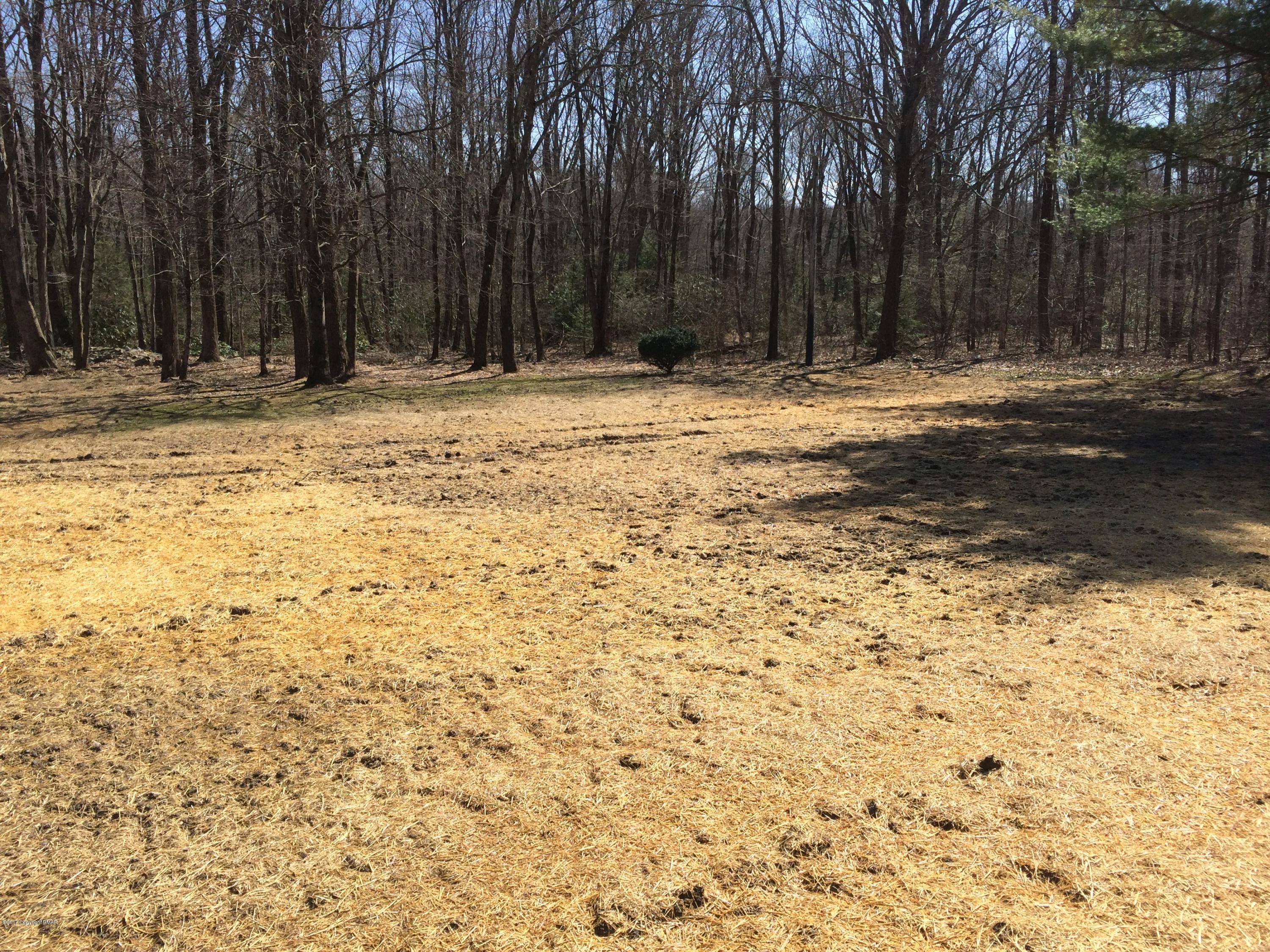 2546 Mountain Road Stroudsburg, PA 18360 - Photo 6 of 6 a view of outdoor space with trees