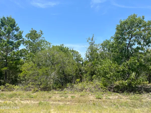 $6,000 | 0 Sylvia Drive, Chipley, FL 32428