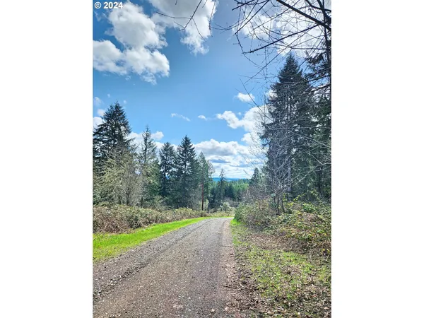$2,950,000 | Bolton Hill, Veneta, OR 97487