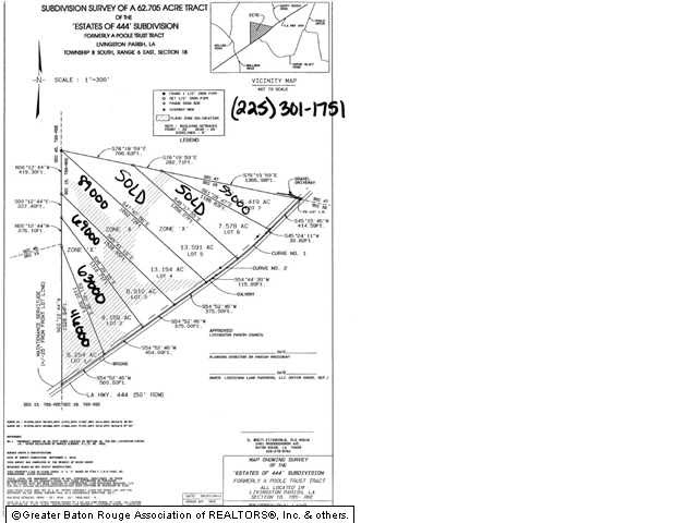 Lot 1 La Highway Springfield, LA 70462 - Photo 2 of 3 Gallery Image 2