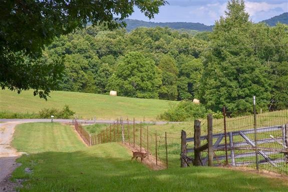 325 Osborne Road Watertown, TN 37184 - Photo 31 of 31 a view of a backyard