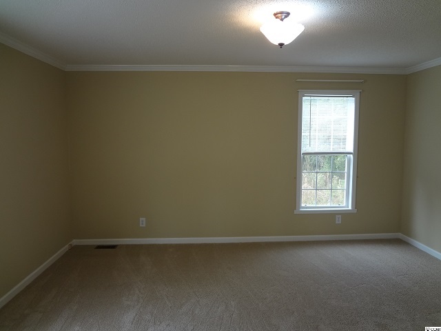 8721 Choppee Road Georgetown, SC 29440 - Photo 10 of 15