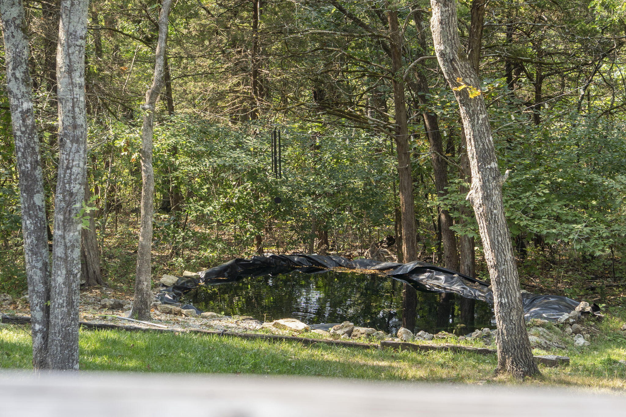 535 Taneycomo Road Branson, MO 65616 - Photo 5 of 73 535 Taneycomo Road (46)