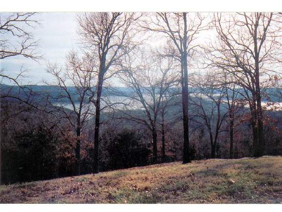 1 Lot Branson, Unit 1BAYSHORE Reeds Spring, MO 65737 - Photo 1 of 1 Primary Photo