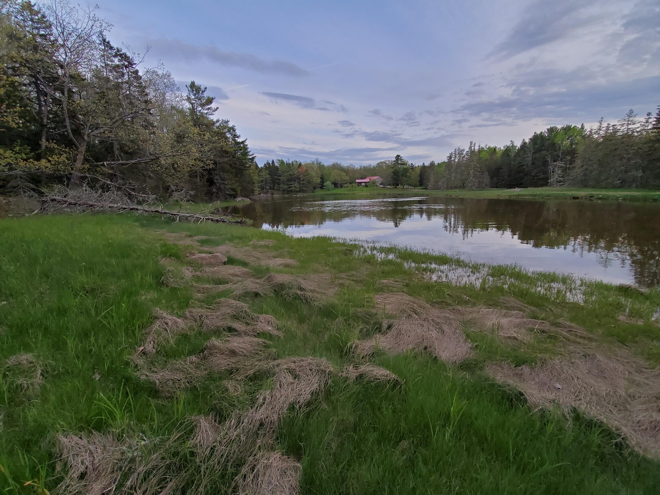 2 Robbins Point Road Gouldsboro, ME 04607 - Photo 27 of 31 looking east along shoreline