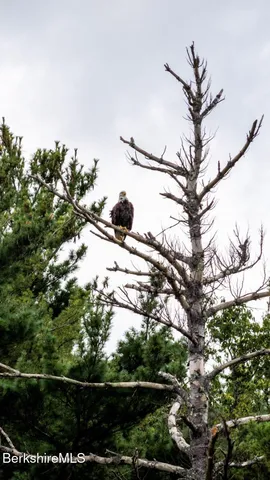 $3,000 | 210 Shore Road, Richmond, MA 01201