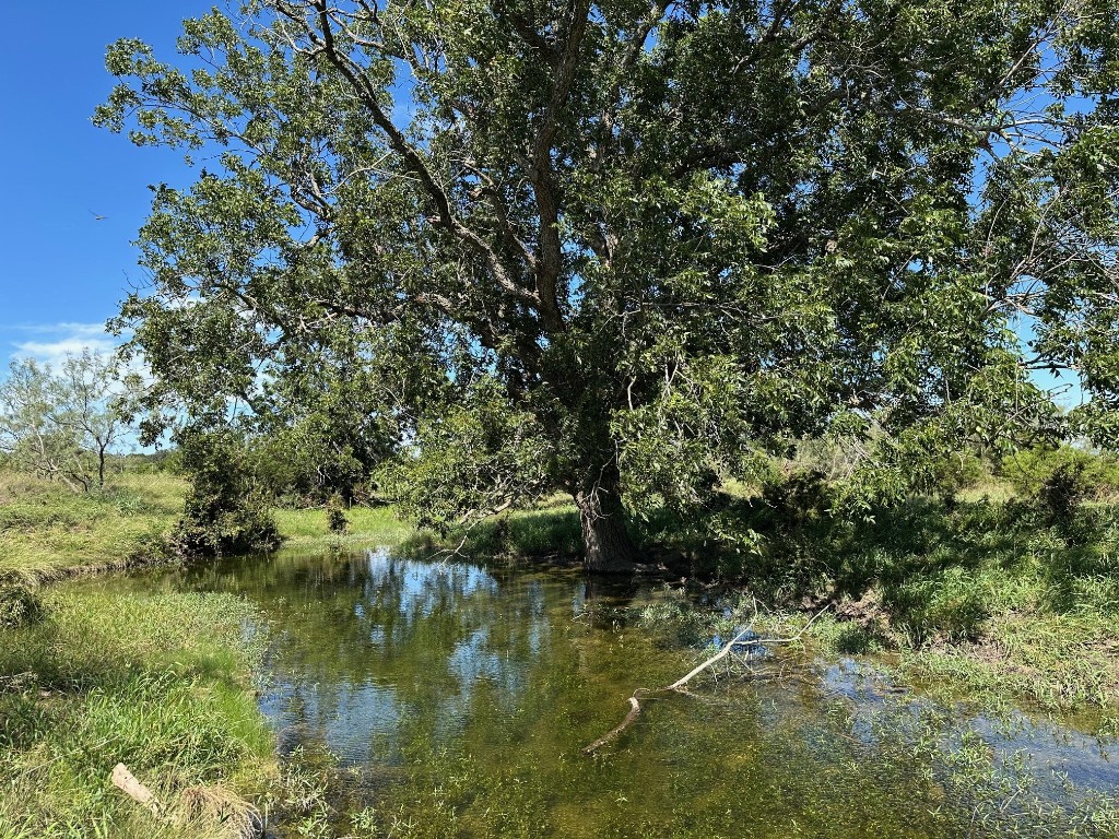330 Bertram Tx 78605 Bertram, TX 78605 - Photo 2 of 8 a view of a lake view