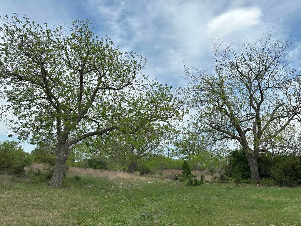 330 Bertram Tx 78605 Bertram, TX 78605 - Photo 3 of 8 a backyard of a house with lots of green space