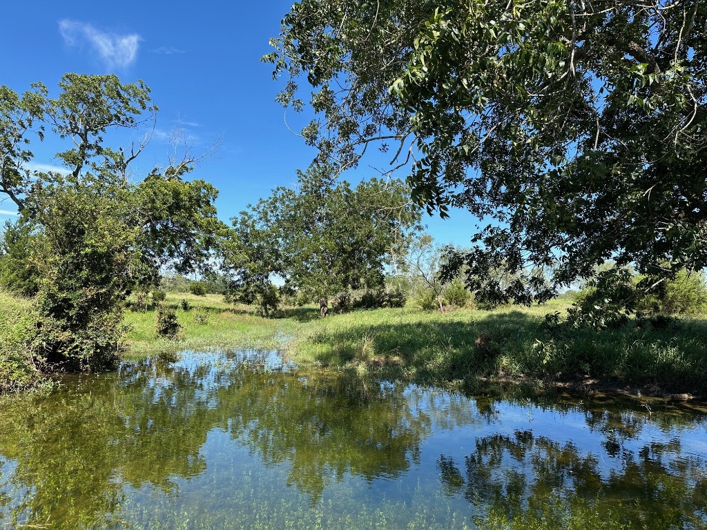 330 Bertram Tx 78605 Bertram, TX 78605 - Photo 4 of 8 a view of a lake with a tree