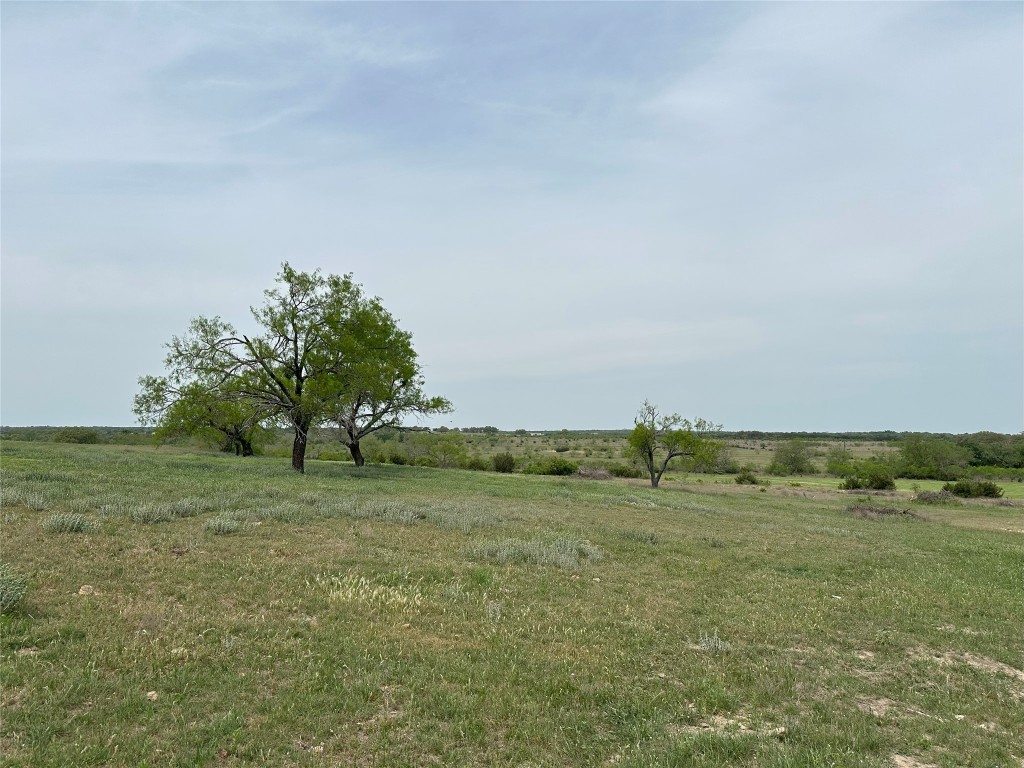 330 Bertram Tx 78605 Bertram, TX 78605 - Photo 8 of 8 a view of a field with an trees