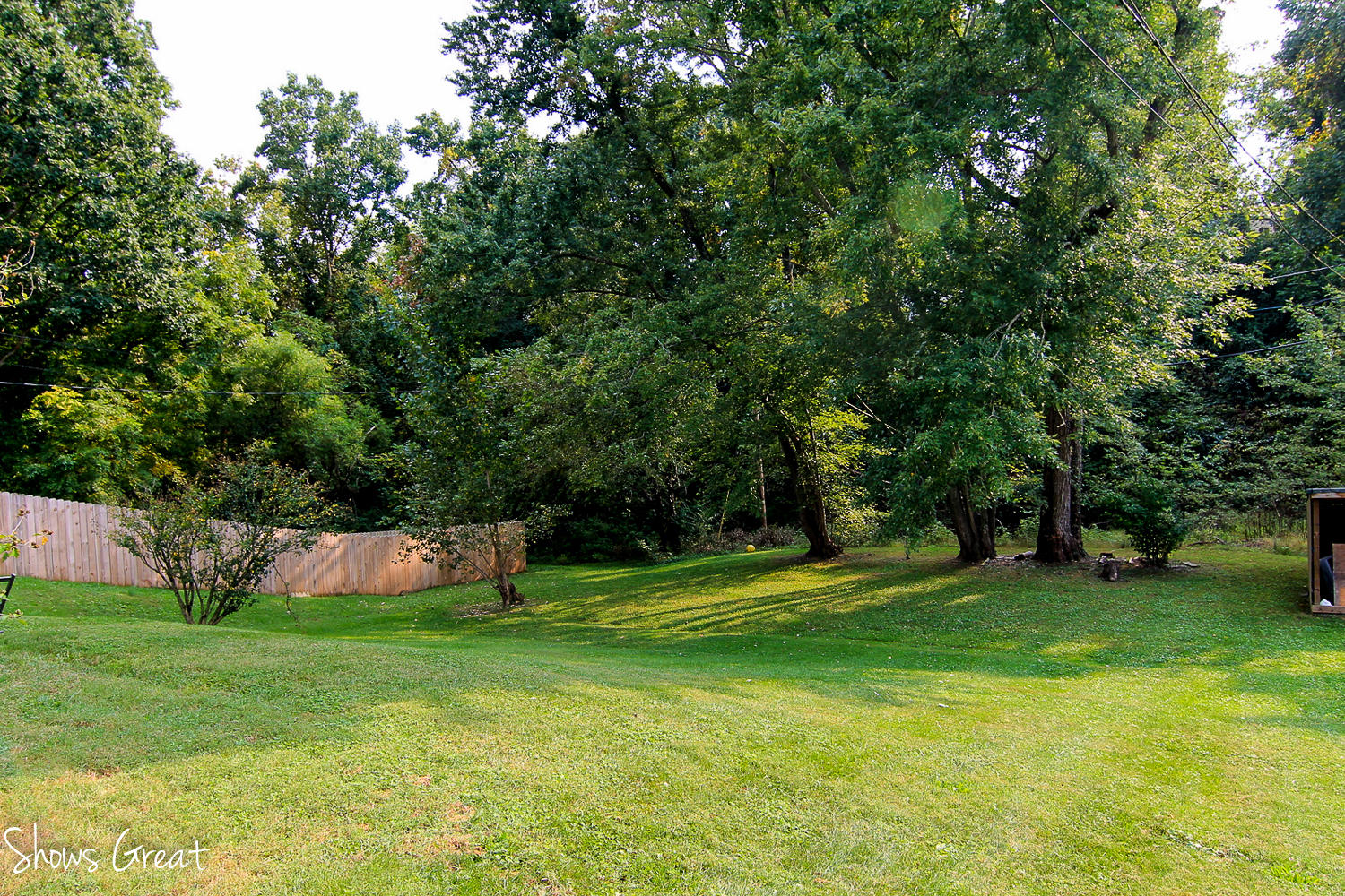 4808 Showalter Road Northwest Roanoke, VA 24017 - Photo 18 of 20 20-IMG_1482