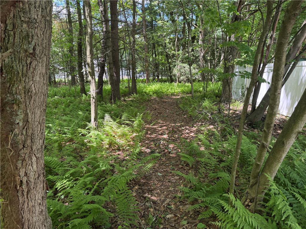 60 Sassafras Road Lehighton, PA 18235 - Photo 10 of 36 Discover a tranquil woodland path winding through lush green ferns and mature trees.