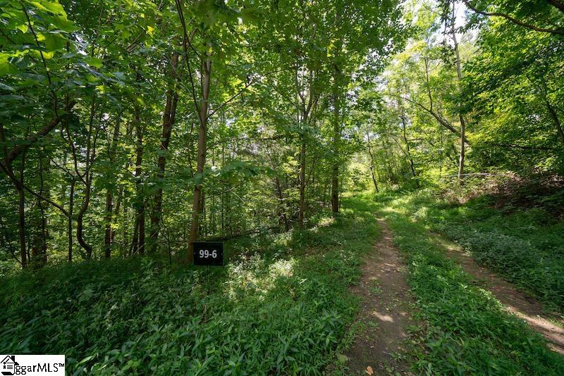 9 Pine Shadow Lane Landrum, SC 29356 - Photo 4 of 5