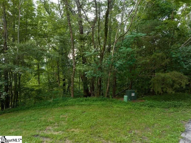 $23,000 | 9 Pine Shadow Lane, Landrum, SC 29356