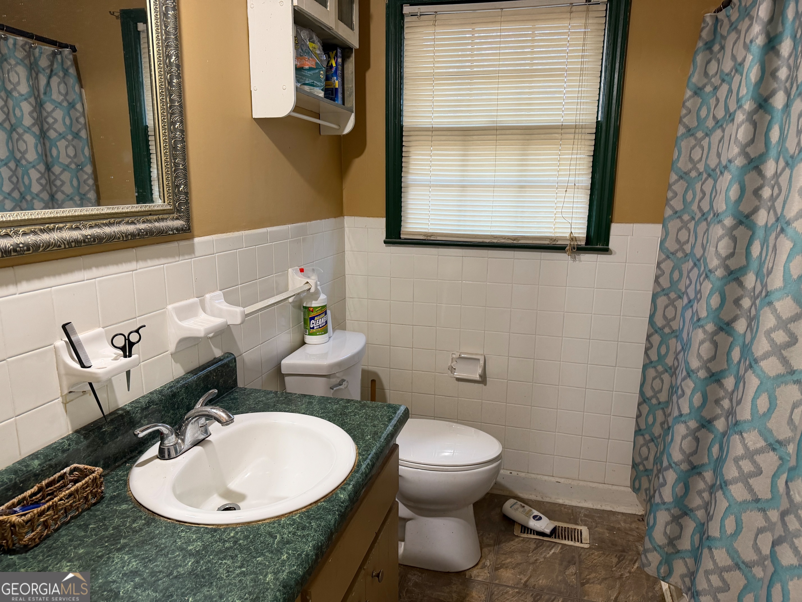 710 Armstrong Mill Road Franklin, GA 30217 - Photo 16 of 19 a bathroom with a sink and a toilet