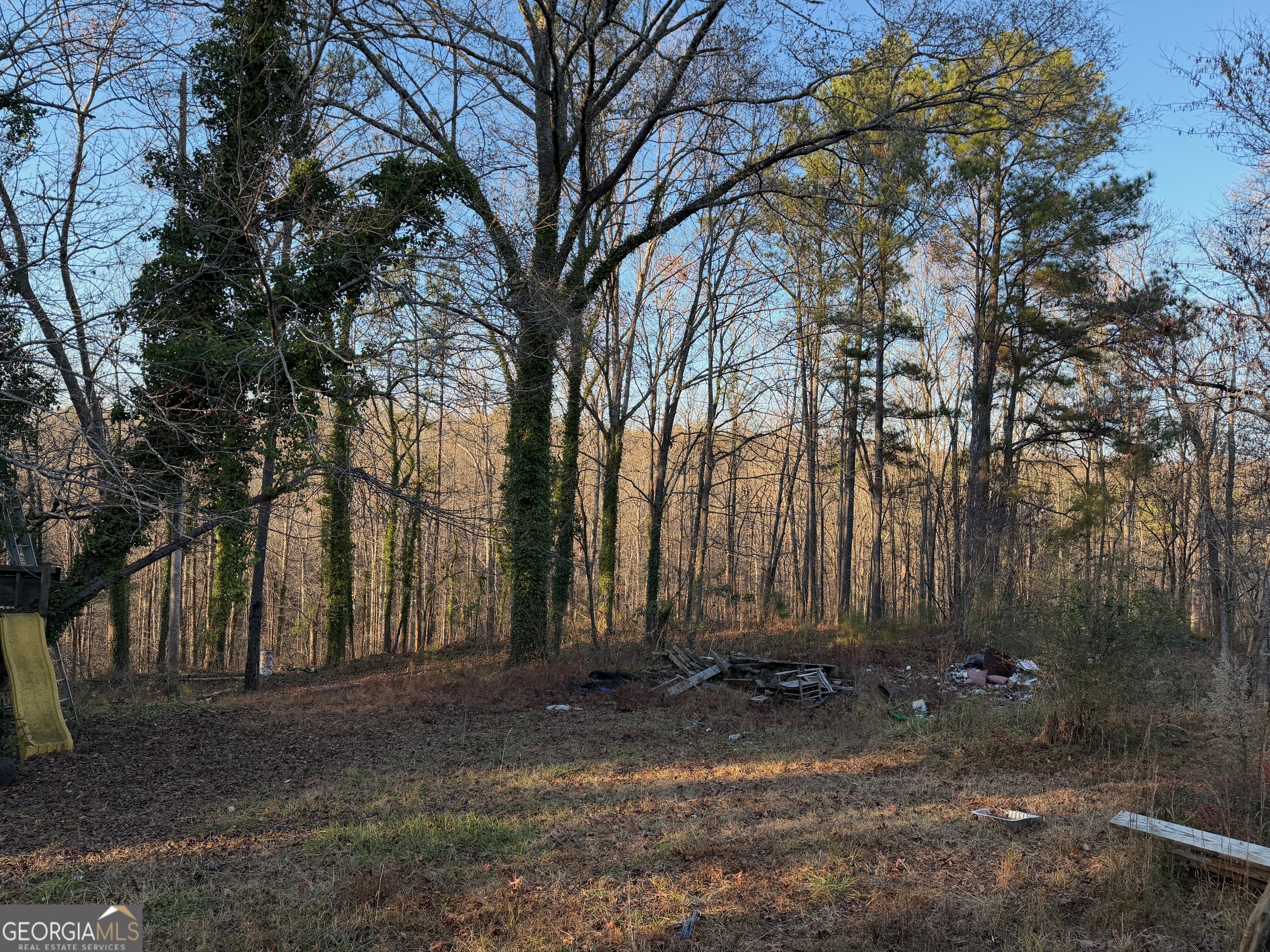 710 Armstrong Mill Road Franklin, GA 30217 - Photo 19 of 19 a view of backyard with large trees